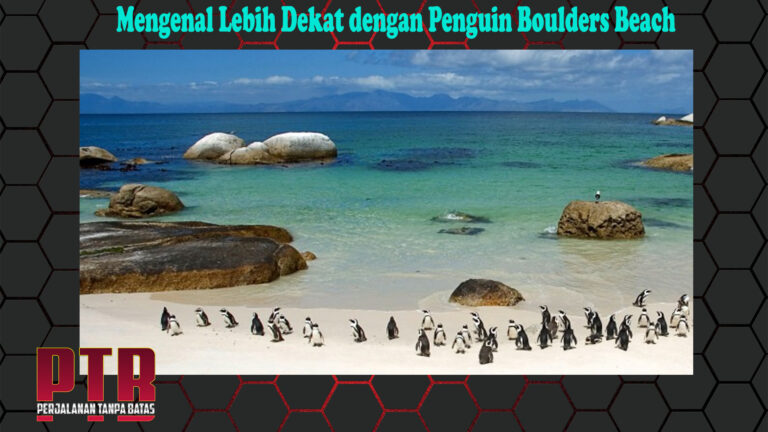 Mengenal Lebih Dekat dengan Penguin Boulders Beach